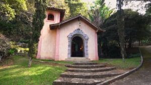 Djavan: o Case de Sucesso Empresarial e Artístico